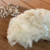 POPOLINI Heilwolle | WickelArt