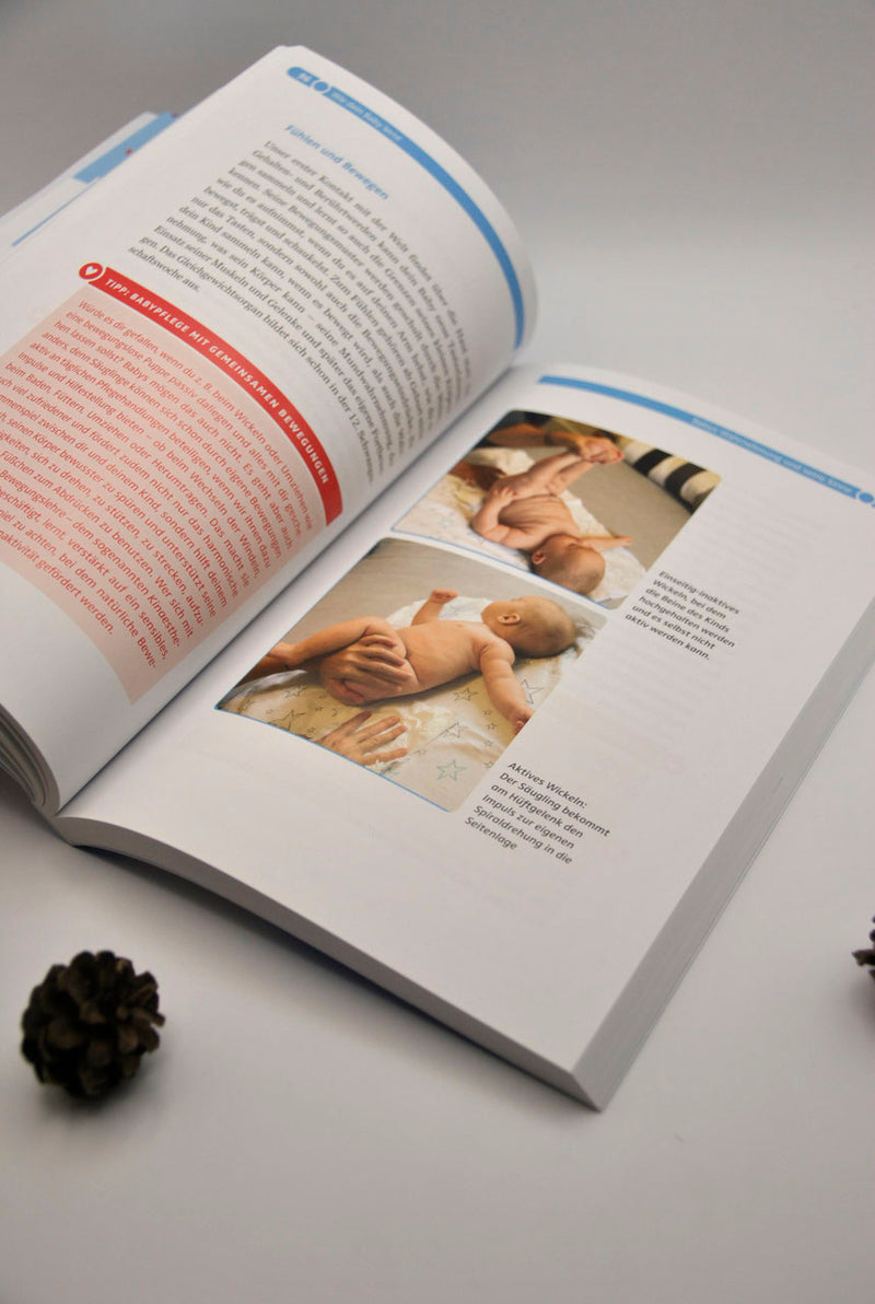 Buch zur Dunstan-Babysprache